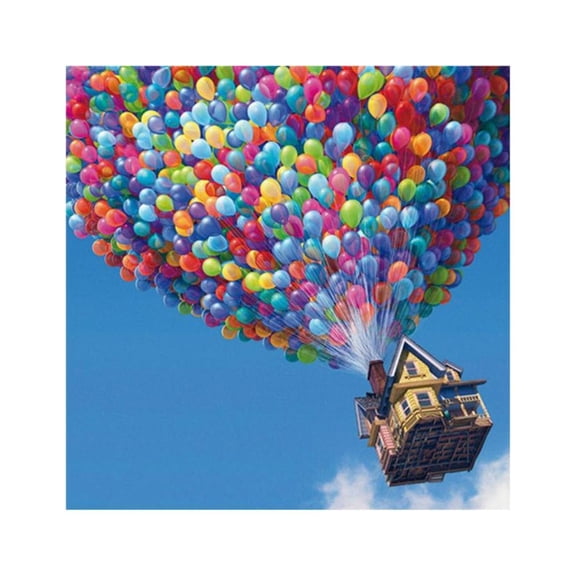 Appash Paint by Numbers DIY Acrylic Painting for Adults 16x20 inch