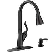 Appaso APS149MB Matte Black Kitchen Faucet