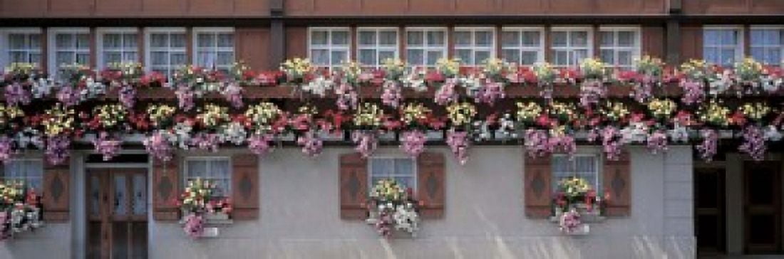 Appenzell Switzerland Canvas Art - Panoramic Images (18 x 6)