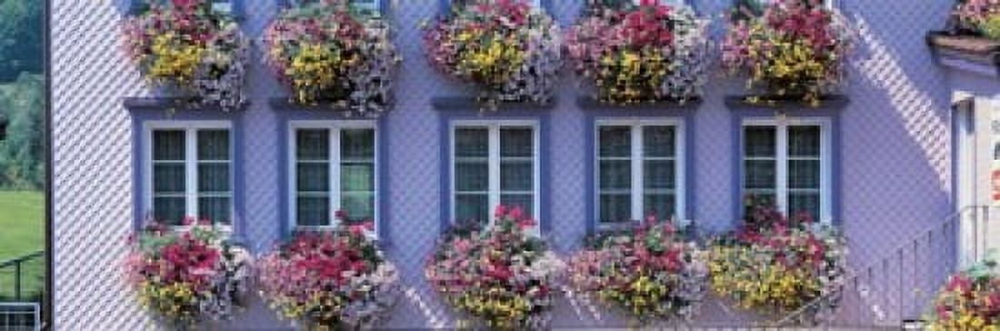 Appenzell Switzerland Canvas Art - Panoramic Images (36 x 12)