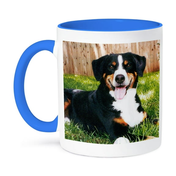 3dRose, Appenzeller Mountain Dog, 11oz Two-Tone Blue Mug