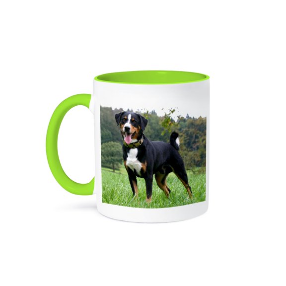 3dRose, Appenzeller Mountain Dog, 11oz Two-Tone Green Mug