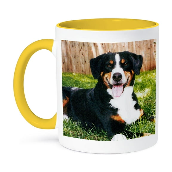3dRose, Appenzeller Mountain Dog, 11oz Two-Tone Yellow Mug