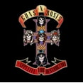 thumbnail image 1 of Appetite for Destruction, 1 of 1