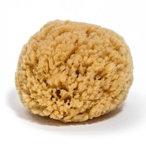 AppiaLuffa Sea Sponge, Large