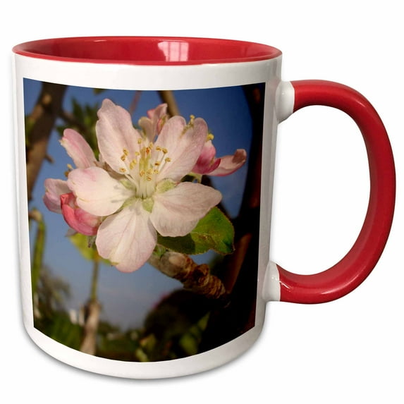 3drose, Apple Blossom - Apple, Apple Tree, Apples, Blossom, Blossoms, Fruit Tree, Pink Blossom, 11oz Two-tone Red Mug