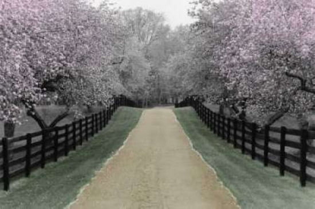 Apple Blossom Lane Canvas Art - Monte Nagler (12 x 18)