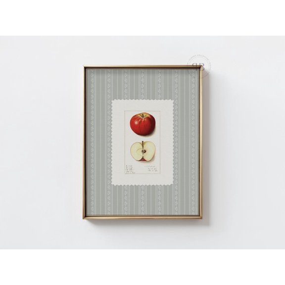 Apple Botanical Poster Vintage Kitchen Wall Art Cottagecore Decor, Stretched Canvas 16x20in