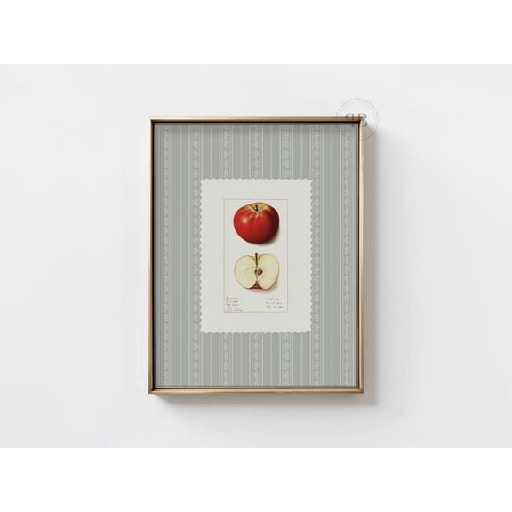 Apple Botanical Poster Vintage Kitchen Wall Art Cottagecore Decor, Unframed Paper Poster 24x36in