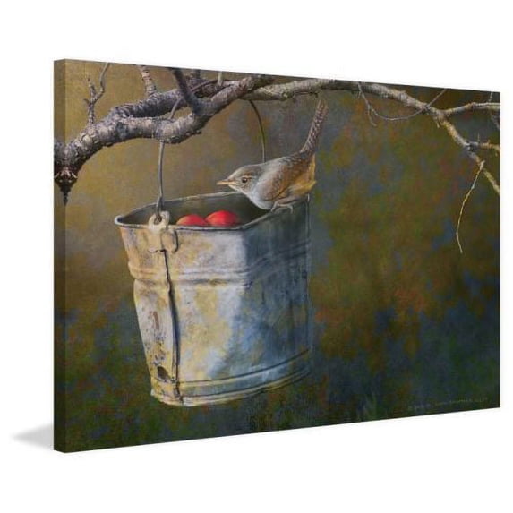 "Apple Bucket Wren" Painting Print on Wrapped Canvas