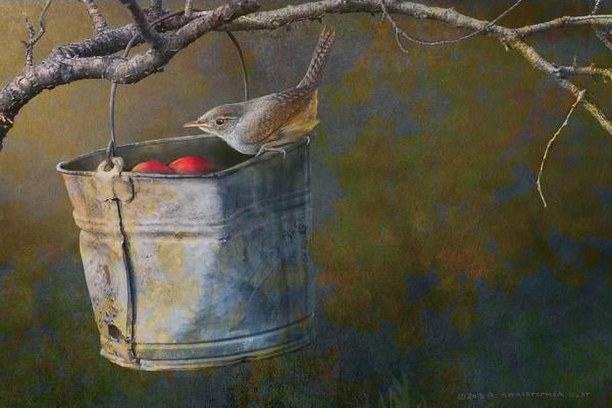 "Apple Bucket Wren" Painting Print on Wrapped Canvas