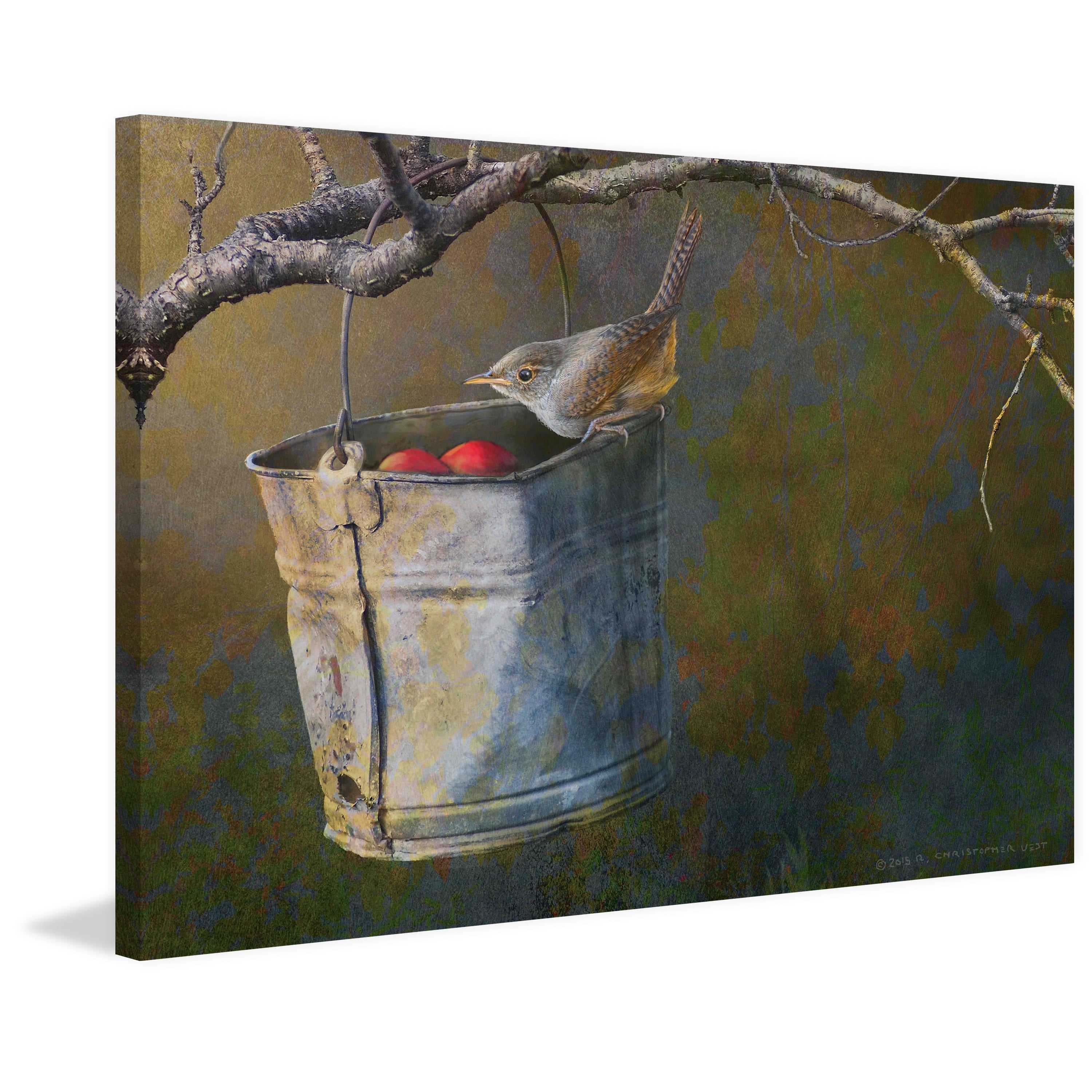 "Apple Bucket Wren" Painting Print on Wrapped Canvas