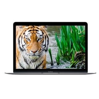 Macbook 12inch 2017 Macbook 12inch 2017