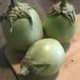 thumbnail image 1 of Apple Green Eggplant Seeds - 1 Lb ~104000 Seeds - Non-GMO, Heirloom - Vegetable Garden - Solanum melongena, 1 of 1