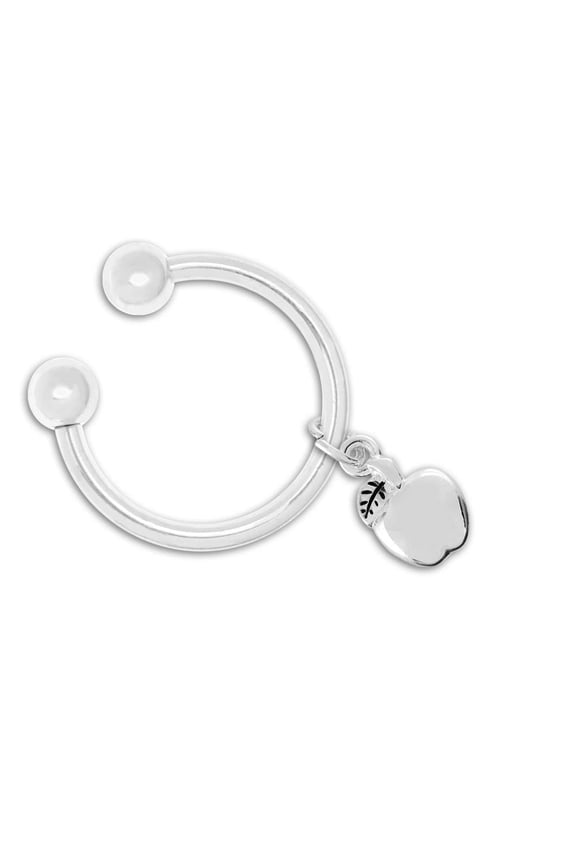 Apple Key Chains