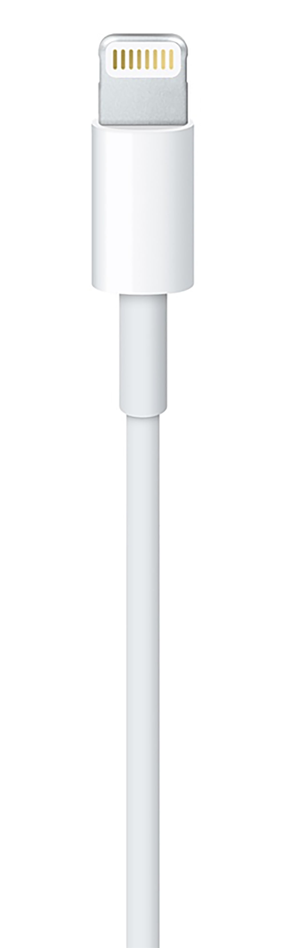 Apple Cable Lightning de 1 m