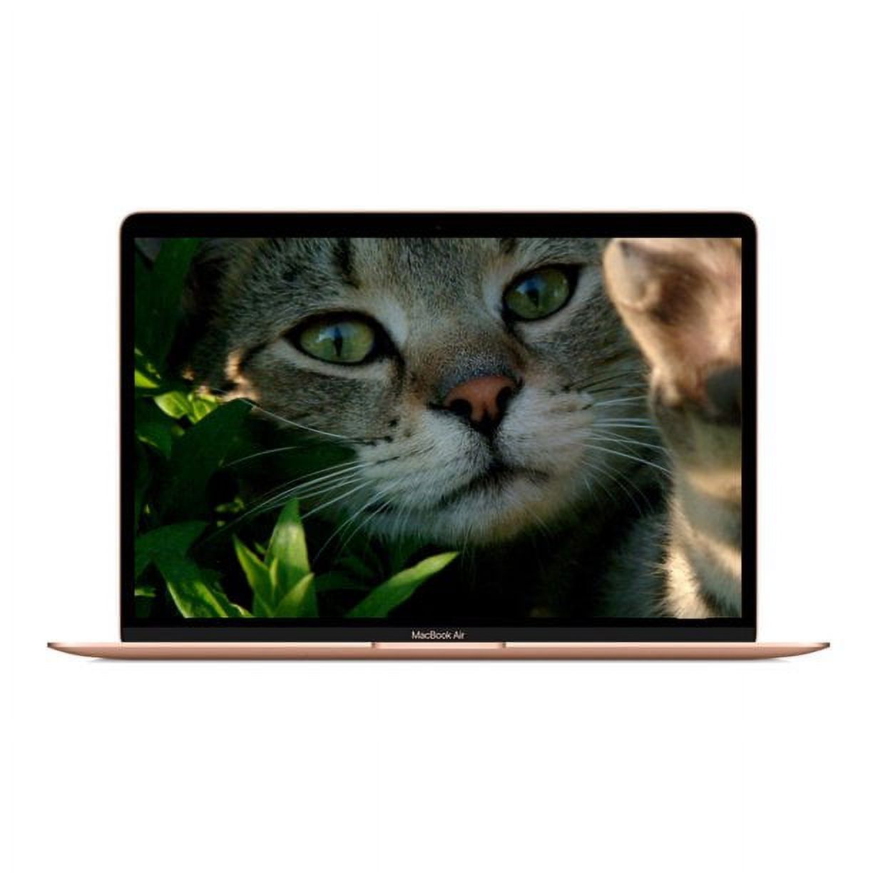 Apple MacBook Air 13.3-inch (Retina, Gold) 1.6GHz Dual Core i5 (2019) 128 GB Flash Hard Drive 16 GB Memory (Used) - image 1 of 5