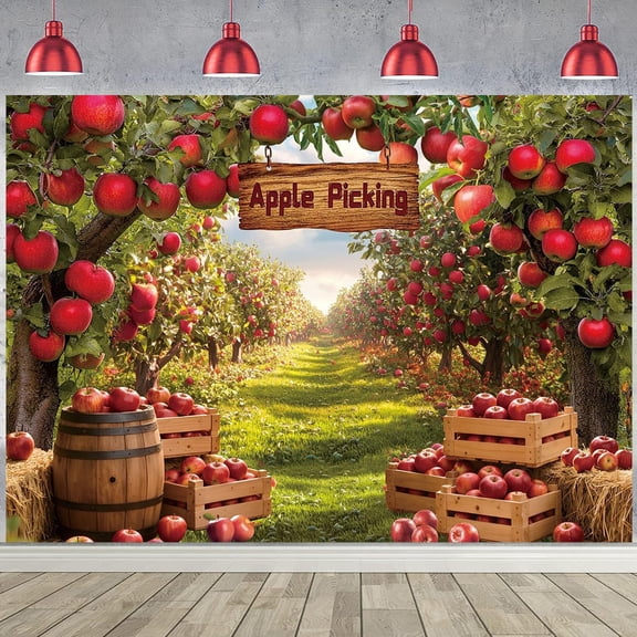 Apple Orchard Backdrop Autumn Harvest Apple Trees Picking Backdrop