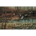 thumbnail image 1 of Apple River Mallards, 1 of 6
