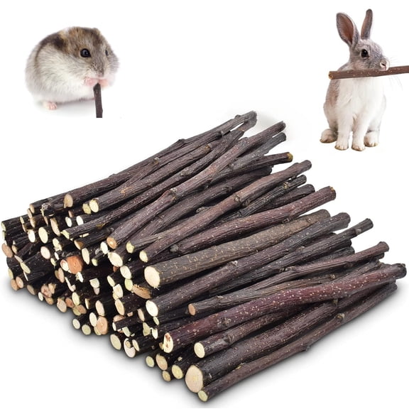 Apple Sticks Teeth Grinding Chinchilla Toys 0.55lb for Rabbits Guinea Pig