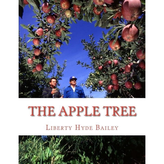 Apple Tree : A Guide to Growing Apples at Home