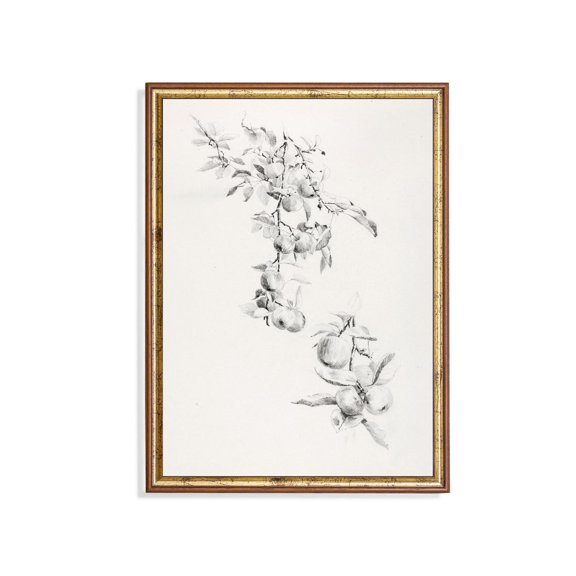 Apple Tree Branch Drawing Rustic Botanical Botanical Floral Wall Art Decor Unframed Paper Print