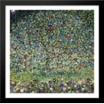 thumbnail image 1 of Apple Tree, I 28x28 Large Black Wood Framed Print Art by Gustav Klimt, 1 of 2
