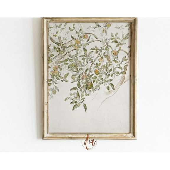 Apple Tree Sketch, Vintage Drawing, Rustic Country Art, Antique Botanical Drawing, French Country Decor, French Farmhouse, Neutral Aesthetic Wall Art, Modern Wall Decor, 8x12 UNFRAMED