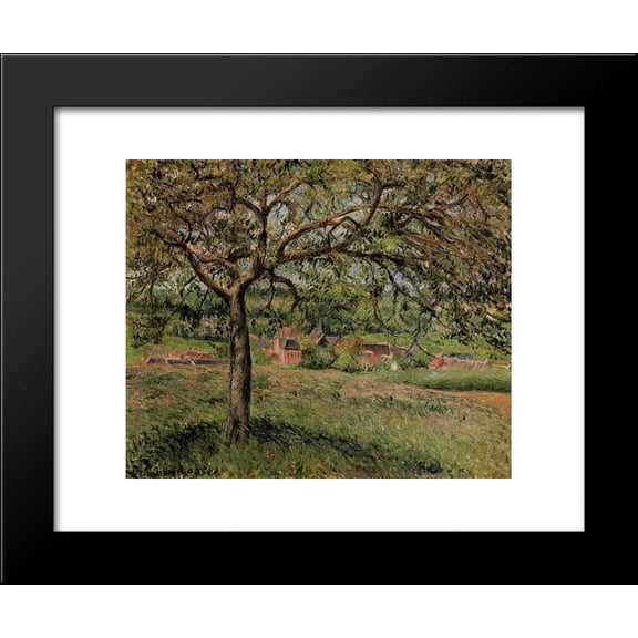 Apple Tree at Eragny 20x24 Framed Art Print by Pissarro, Camille