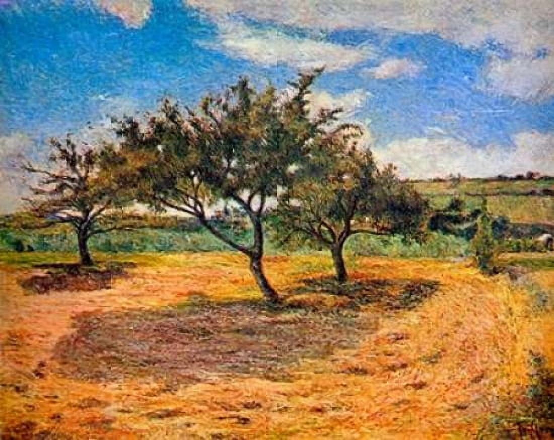 Apple Trees In Blossom Canvas Art - Paul Gauguin (22 x 28)