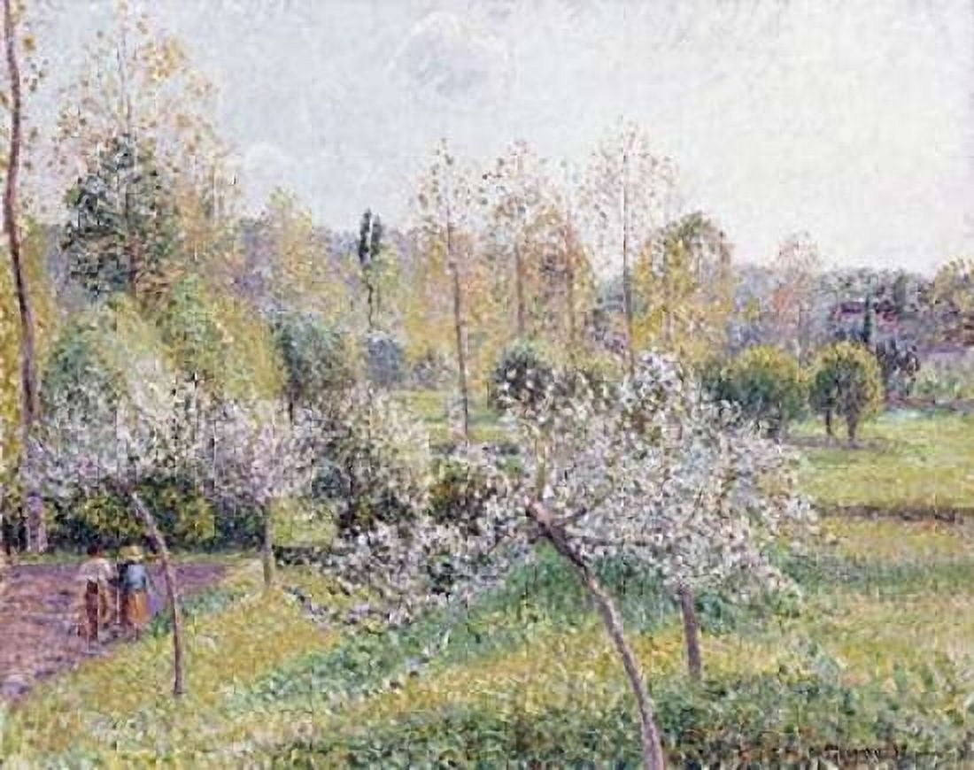 Apple Trees In Blossom Eragny Canvas Art - Camille Pissarro (22 x 28)
