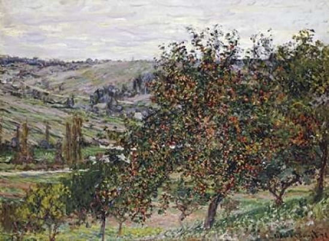 Apple Trees Near Vetheuil 1878 Canvas Art - Claude Monet (20 x 28)