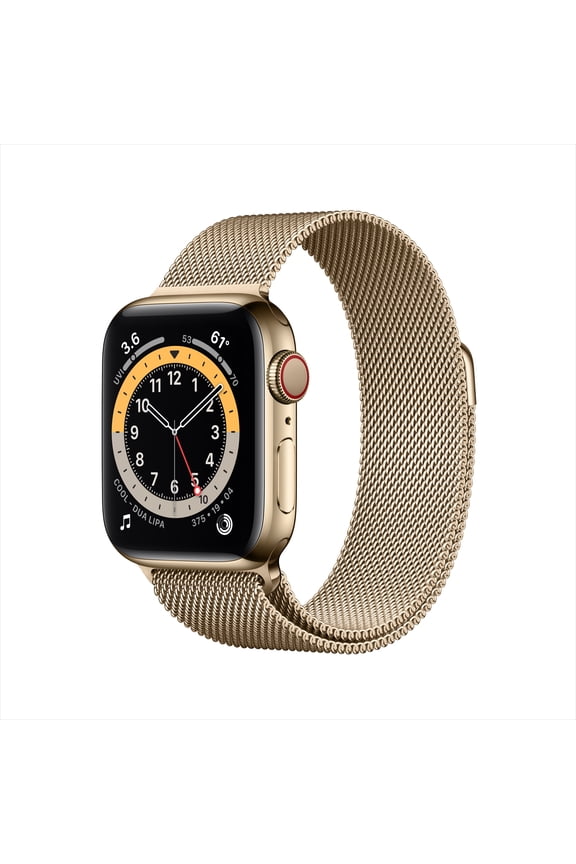 Restored Apple Watch Series 6 GPS + Cellular, 40mm Gold Stainless Steel Case with Gold Milanese Loop