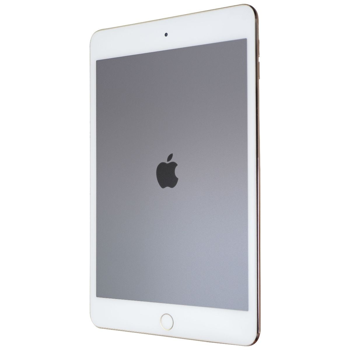 新品 Apple iPad mini 4 Wifi 64GB A1538-