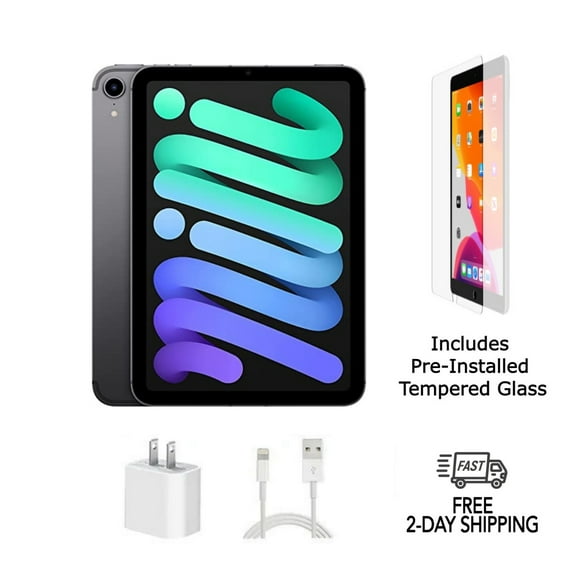 Pre-Owned Apple iPad Mini 6 A2568 (WiFi + Cellular Unlocked) 256GB Space Gray Bundle with Pre-Installed Tempered Glass