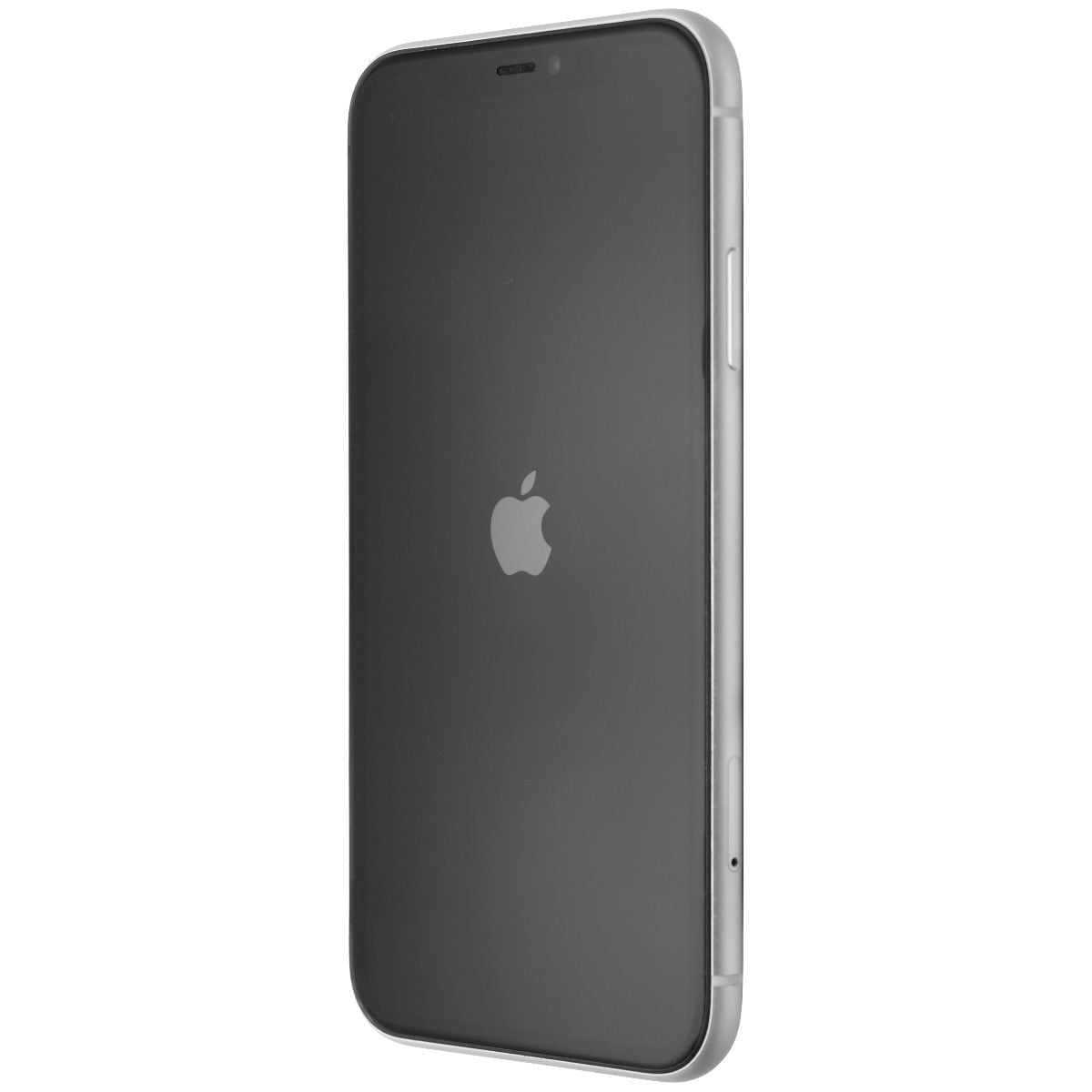 Apple iPhone X, Unlocked, Silver, 256 GB, Excellent
