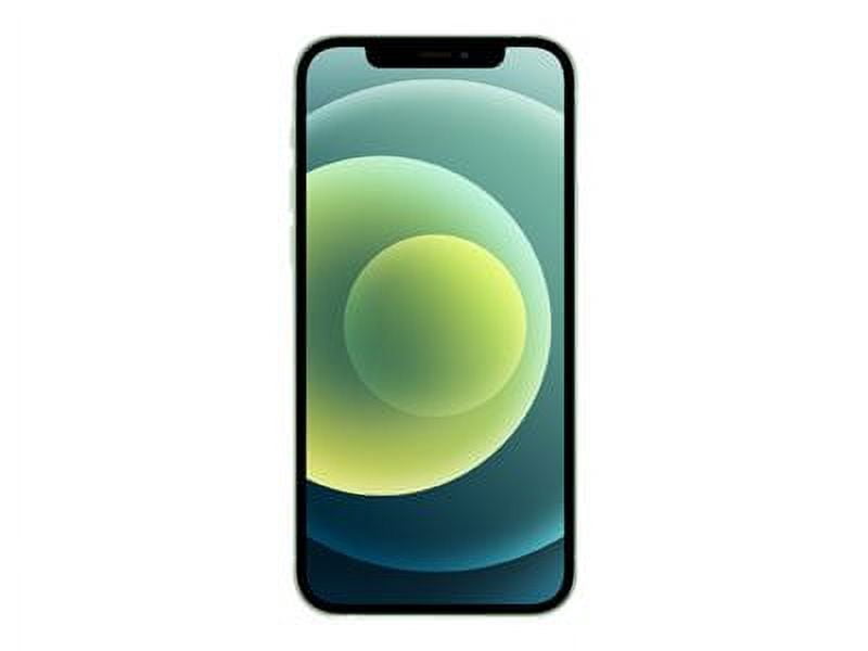 Iphone 12 Colors
