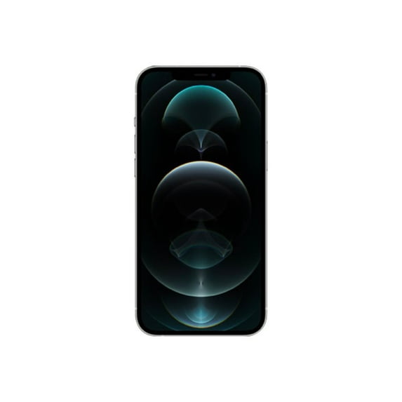 Open Box Apple iPhone 12 Pro Max 256GB Fully Unlocked (AT&T + T-Mobile + Verizon + Sprint) - Silver