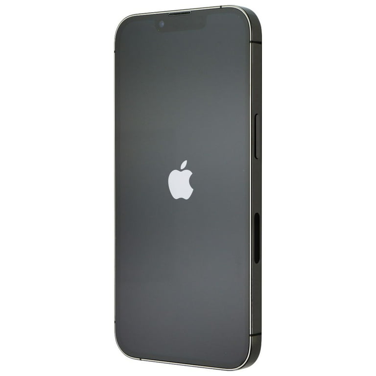 Apple iPhone 13 Pro グラファイト 6.1インチ-PERSONS POP PUNK