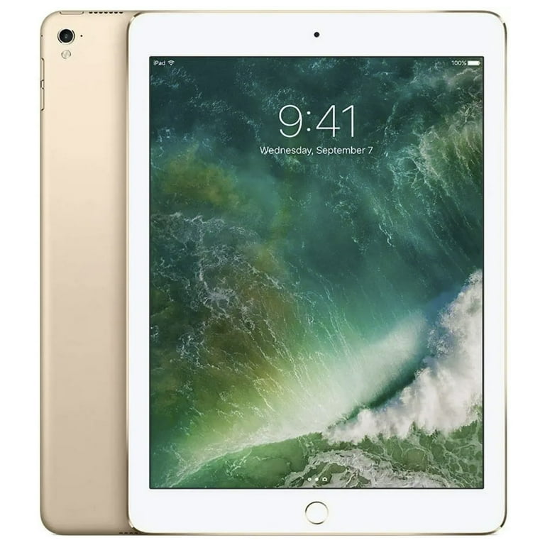 Apple iPad 本体 ローズゴールド Apple iPad proローズゴールド 本体