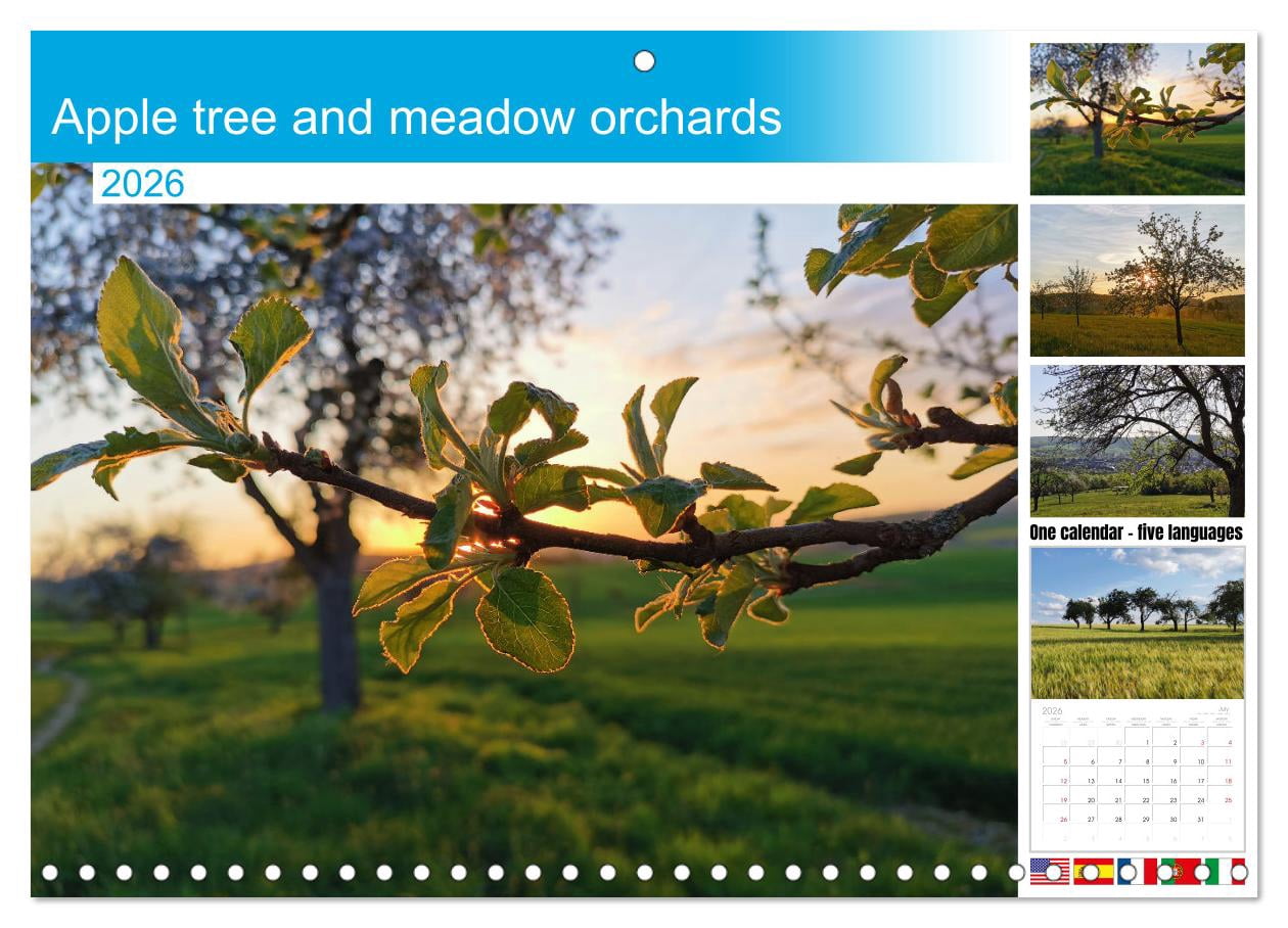 Apple tree and meadow orchards (Monthly Wall Calendar 2026 16.5 x 23.4 ...