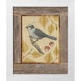 thumbnail image 1 of Appleman, Sam 15x18 White Modern Wood Framed Museum Art Print Titled - Gray Jay, 1 of 4