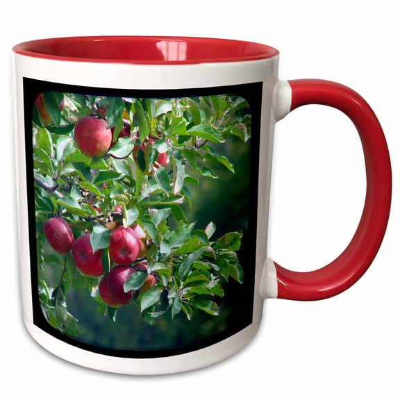 3drose, Apples, 11oz Two-tone Red Mug