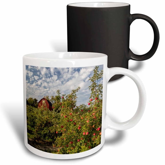 3drose, Apples in Orchard with Quilt Barn Near Traverse City, Michigan, Usa, 11oz Magic Transforming Mug