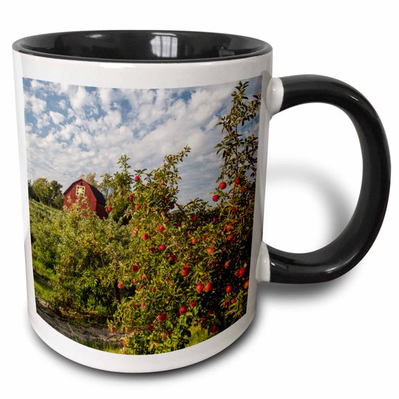 3drose, Apples in Orchard with Quilt Barn Near Traverse City, Michigan, Usa, 11oz Two-tone Black Mug