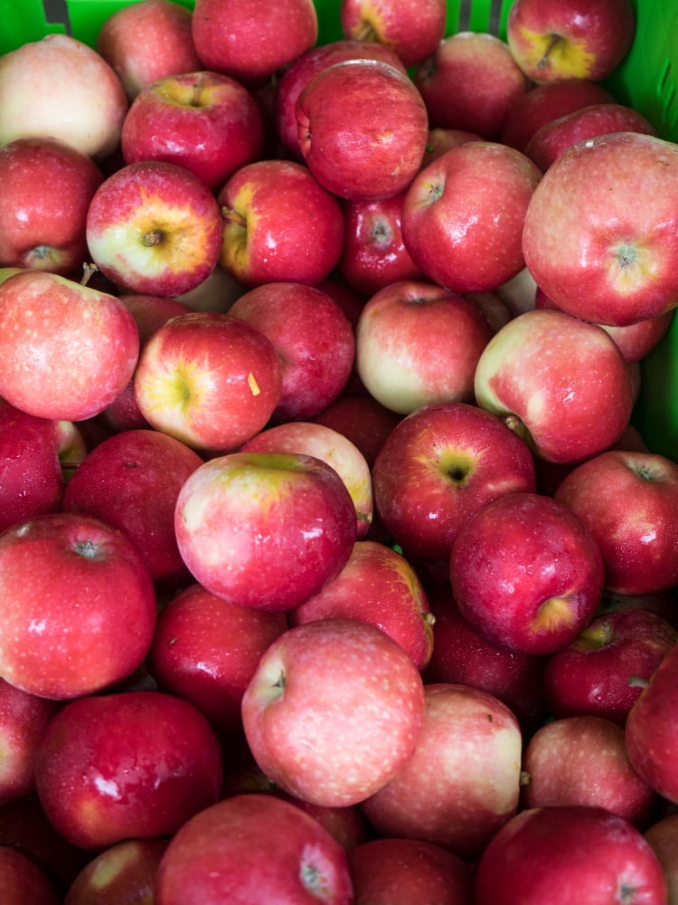 Apples for sale at street market Hawkes Bay Hastings North Island New Zealand Canvas Art - Panoramic Images (24 x 36)