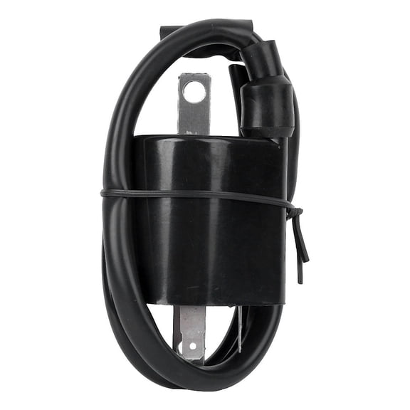 Applicable to AA Motorcycle Ignition Coil for Yamaha Virago 535 XV535