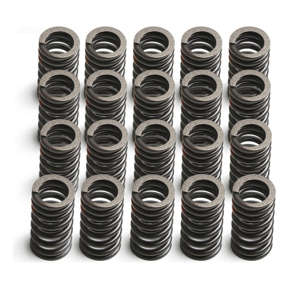 Applicable to Qr1 Set Of Valve Springs Vw Golf Beetle Jetta Passat