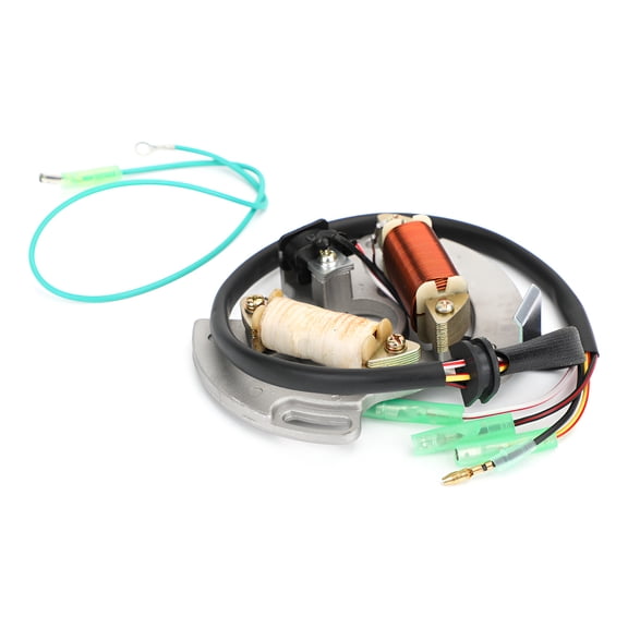 Applicable to Stator for Yamaha Blaster 200 YFS200 1997 1998 1999 2000