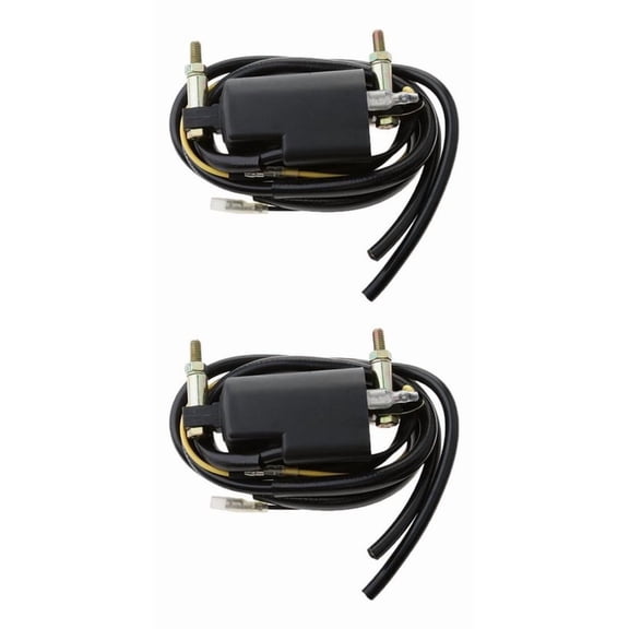 Applicable to Universal 4 Ohm Dual Output Ignition Coil